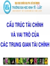 Cấu trúc tài chính và vai trò của các trung gian tài chính