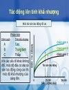 Quản trị vốn luân chuyển 1