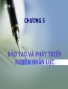 Đào tạo và phát triển nguồn nhân lực 1