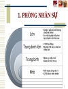 Phòng nhân sự và văn hóa tổ chức