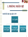 Phòng nhân sự và văn hóa tổ chức