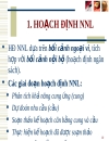 Hoạch định nguồn nhân lực 1