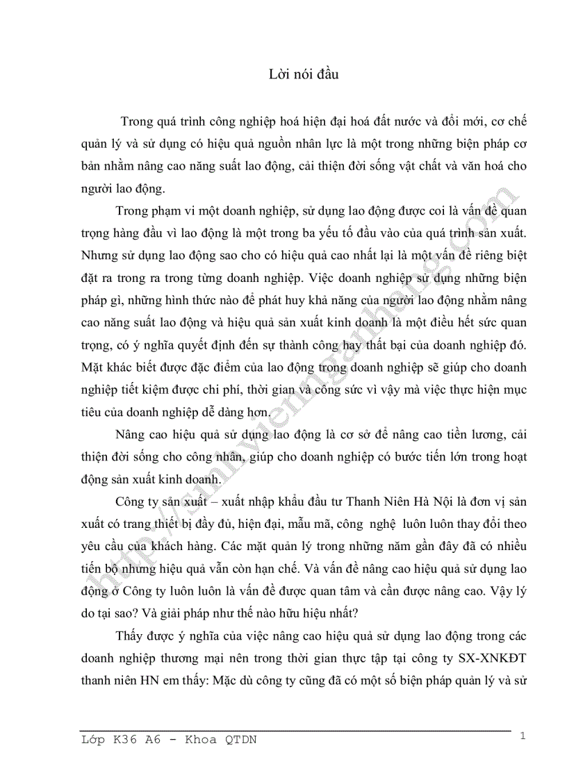 Những biện pháp nhằm nâng cao hiệu quả sử dụng lao động ở công ty Sản xuất xuất nhập khẩu đầu tư thanh niên Hà Nội