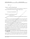 Một số giải pháp nhằm nâng cao hiệu quả kinh doanh trong hoạt động nhập khẩu tại Công ty Vật tư kỹ thuật Ngân hàng