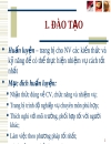 Đào tạo và học hỏi