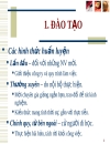 Đào tạo và học hỏi