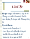 Đào tạo và học hỏi