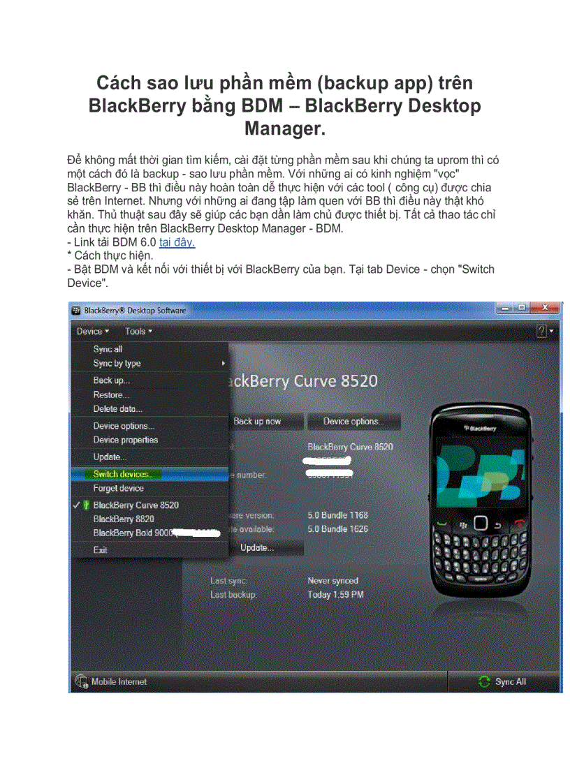 Cách sao lưu phần mềm backup app trên BlackBerry bằng BDM BlackBerry Desktop Manager