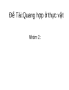 Đề Tài Quang hợp ở thực vật