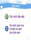 Tiểu luận số 2 Cách sắp xếp hoa trên cành