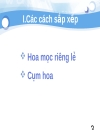 Tiểu luận số 2 Cách sắp xếp hoa trên cành