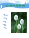 Tiểu luận số 2 Cách sắp xếp hoa trên cành