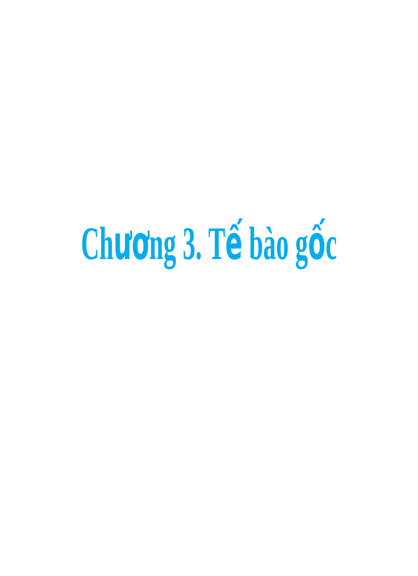 Tế bào gốc Sự hình thành phôi người