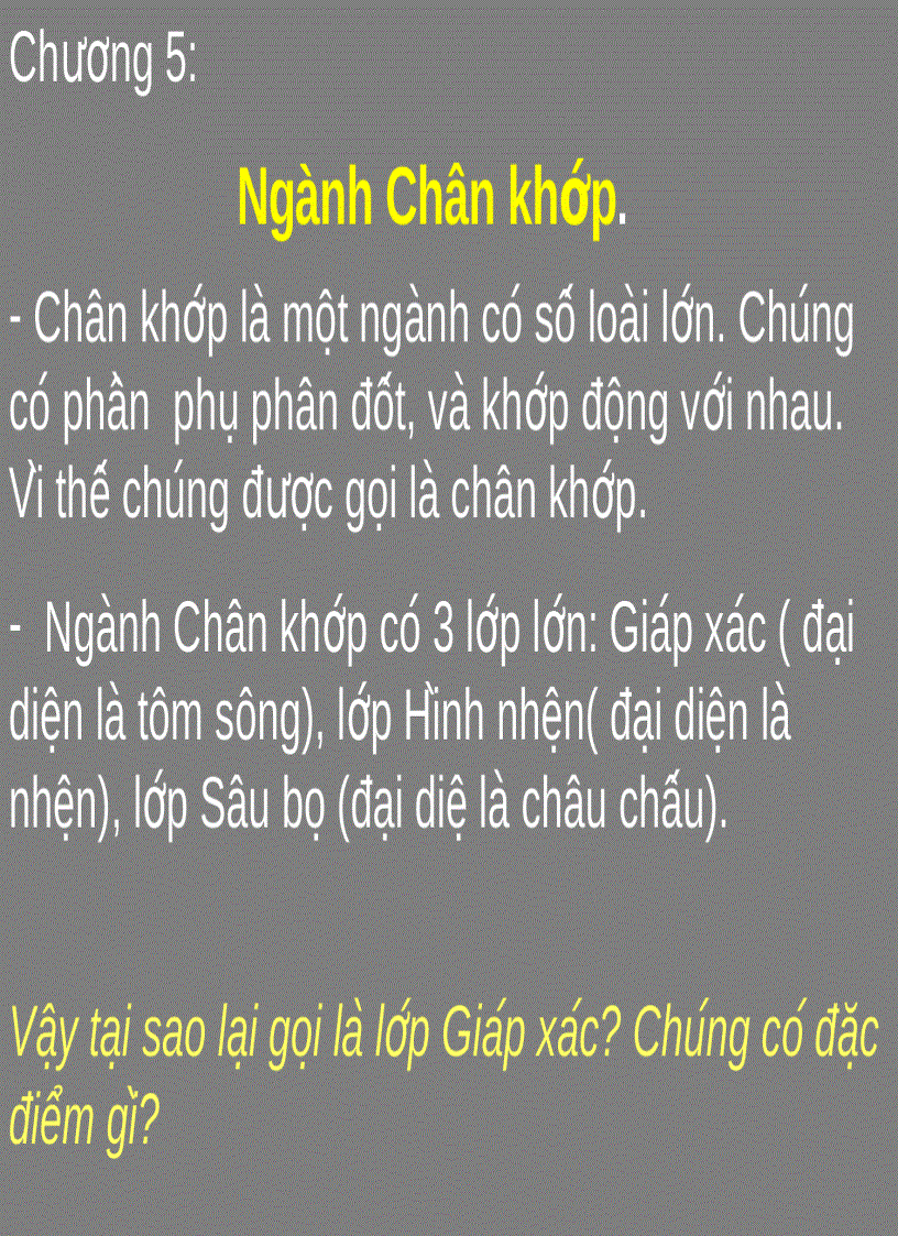 Ngành Chân khớp