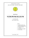 Seminar nấm penicillium