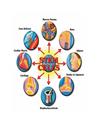 Tế bào gốc Stem cell