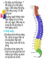 Hệ vận động