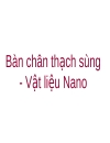 Bàn chân thạch sùng Vật liệu Nano