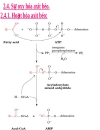 NĂNG LƯỢNG SINH HỌC Lipid Metabolism TRAO ĐỔI LIPID