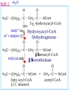 NĂNG LƯỢNG SINH HỌC Lipid Metabolism TRAO ĐỔI LIPID