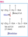 NĂNG LƯỢNG SINH HỌC Lipid Metabolism TRAO ĐỔI LIPID