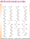 NĂNG LƯỢNG SINH HỌC Lipid Metabolism TRAO ĐỔI LIPID