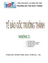 Tế bào gốc trưởng thành