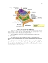 Sinh học đại cương