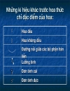 Hoa thức Hoa đồ