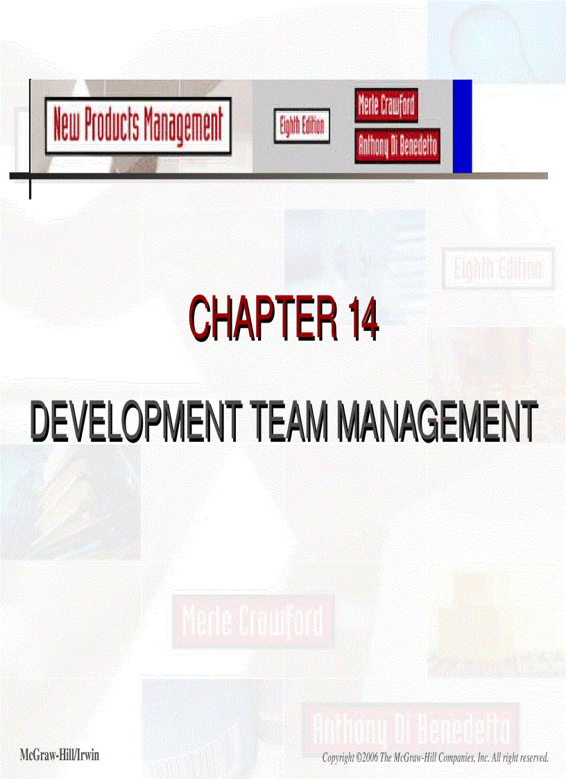 Development team manager