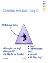 Chiến lược kinh doanh trong EC