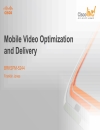 Mobile Video Optimization and Delivery