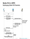 IPv4 Exhaustion and IPv6 Transition in Mobile Networks