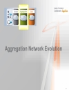 Evolution of Subscriber Aggregation in sản phẩm Residential Networks