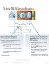 Evolution of Subscriber Aggregation in sản phẩm Residential Networks