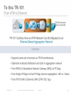 Evolution of Subscriber Aggregation in sản phẩm Residential Networks