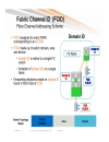 Storage Area Networking Core Edge Design Best Practices