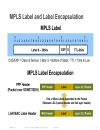 Introduction to MPLS