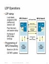 Introduction to MPLS