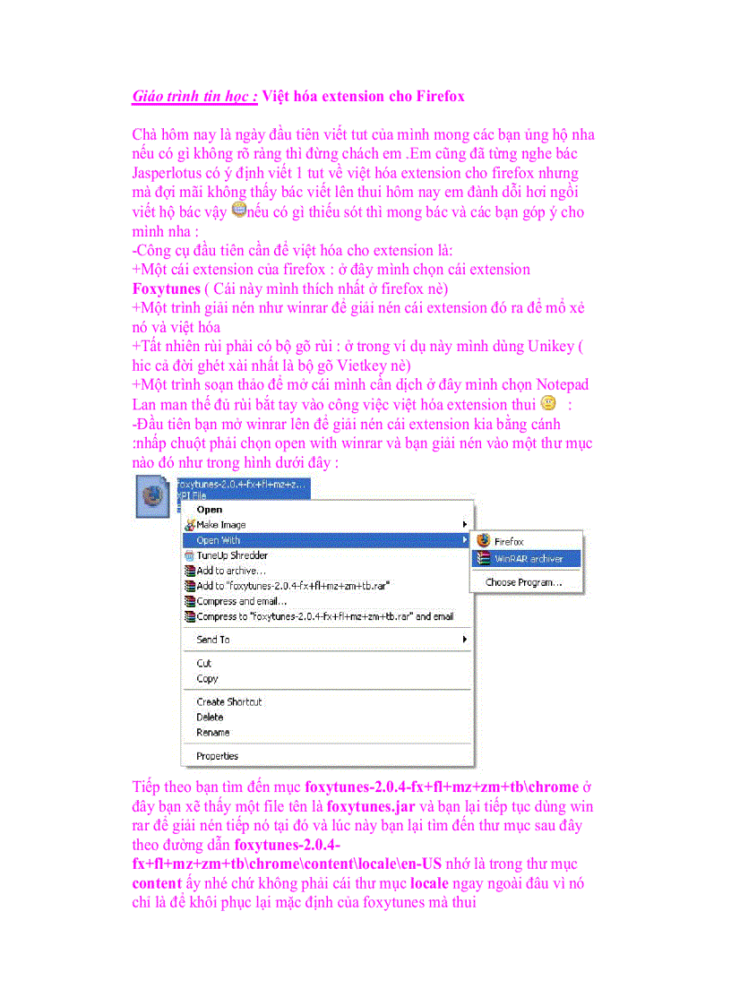 Giáo trình tin học Việt hóa extension cho Firefox