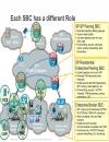 Understanding the Session Border Controller Portfolio from Cisco