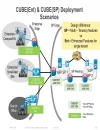 Understanding the Session Border Controller Portfolio from Cisco