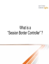 Understanding the Session Border Controller Portfolio from Cisco