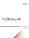 Programmming with the Finesse API