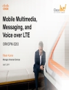 Mobile Multimedia Messaging and Voice over LTE