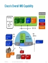 Mobile Multimedia Messaging and Voice over LTE