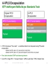 Design and Deployment of Data Center Interconnects Using Advanced VPLS A VPLS