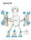 Case Study for Large Scale Centralized SIP Trunk Implementation