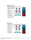 Multilayer Campus Architectures and Design Principles