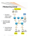 Introduction to IP Multicast